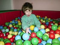 IMG 0013